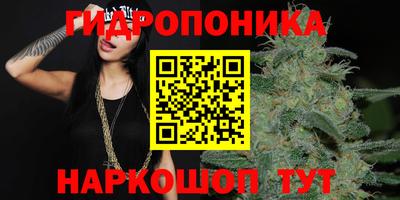 тгк Заводоуковск