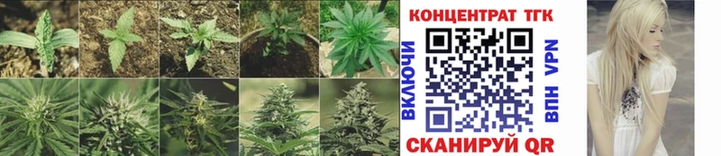 ТГК концентрат  купить наркотик  Краснодар 