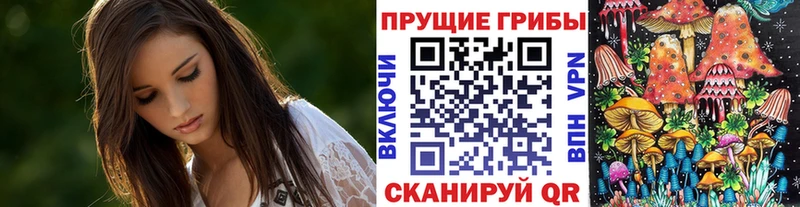 блэк спрут   Краснодар  Псилоцибиновые грибы прущие грибы  наркошоп 