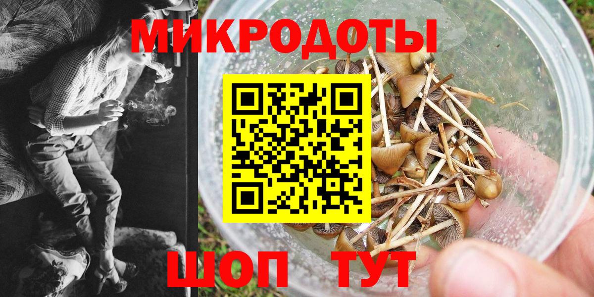 Псилоцибиновые грибы мицелий  Псилоцибиновые грибы Cubensis  Вход с VPN  Краснодар 