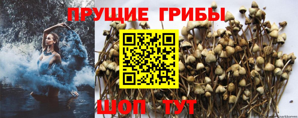Гашиш  МЕТ  Краснодар  Кетамин  Alpha PVP СОЛЬ   Конопля  Кокаин  Вход с VPN  Меф  