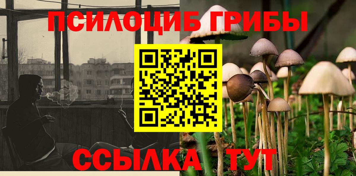 Псилоцибиновые грибы Cubensis Краснодар