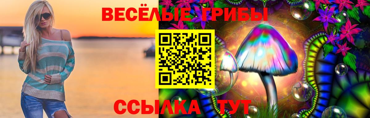 Галлюциногенные грибы GOLDEN TEACHER  Краснодар 